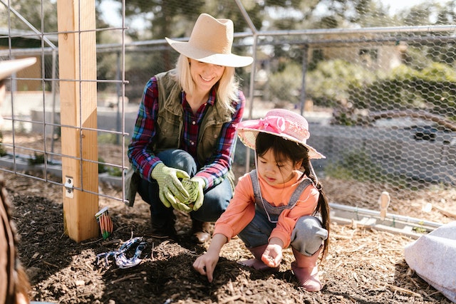 Next Gen Personal Finance_plant seeds