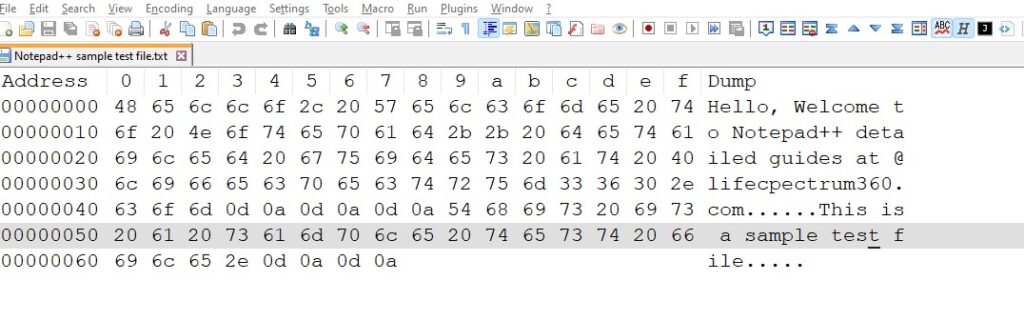 notepad++ hex editor view in HEX