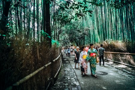 Arashiyama Bamboo Groves_Kyoto